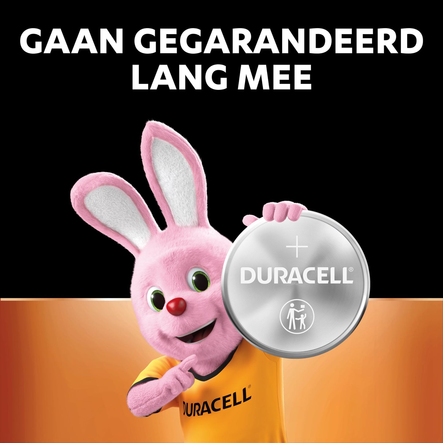 Duracell Silver Oxide Battery 1.5 V, Batteries for Watches DL2430 Size 2430 metallic 1