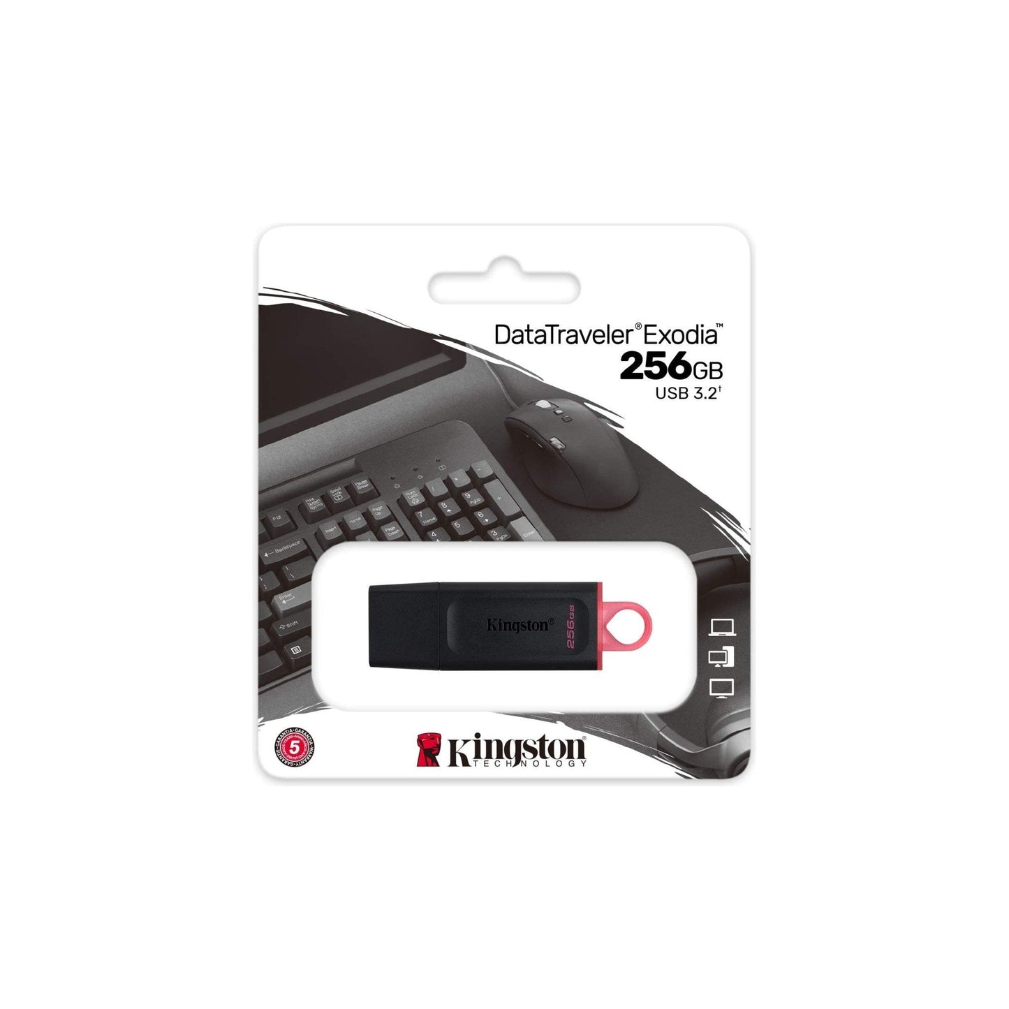 Kingston DataTraveler Exodia DTX/256GB Flash Drive USB 3.2 Gen 1 - met beschermkap en sleutelring in meerdere kleuren - NLMAX