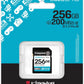 Kingston SDG4/256 GB SD-kaart (256 GB SDXC Canvas Go Plus U3 V30)