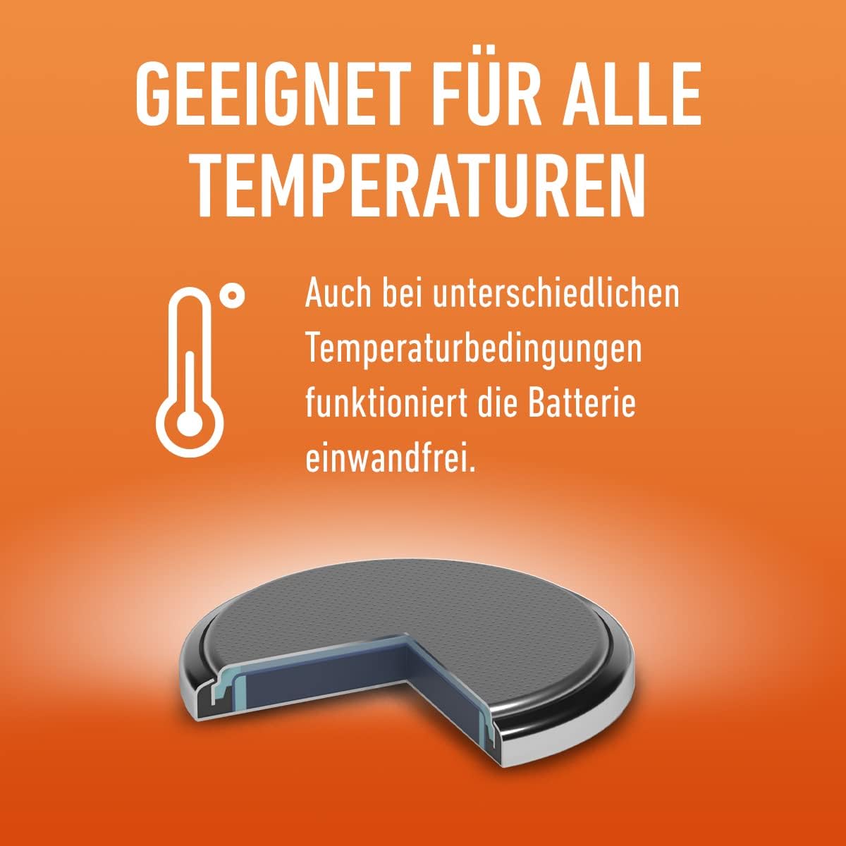 Panasonic 2452 lithium - knoopcel CR2032 6er Pack zilver - NLMAX