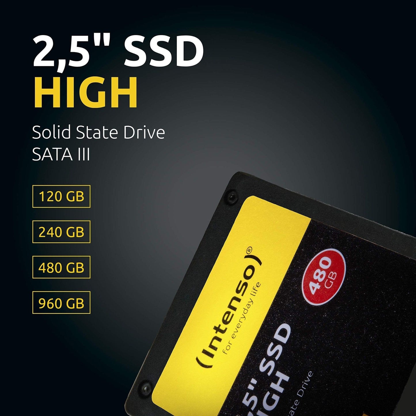 Intenso 960 GB 2.5-Inch Internal Solid State Drive,Black,3813460 - NLMAX