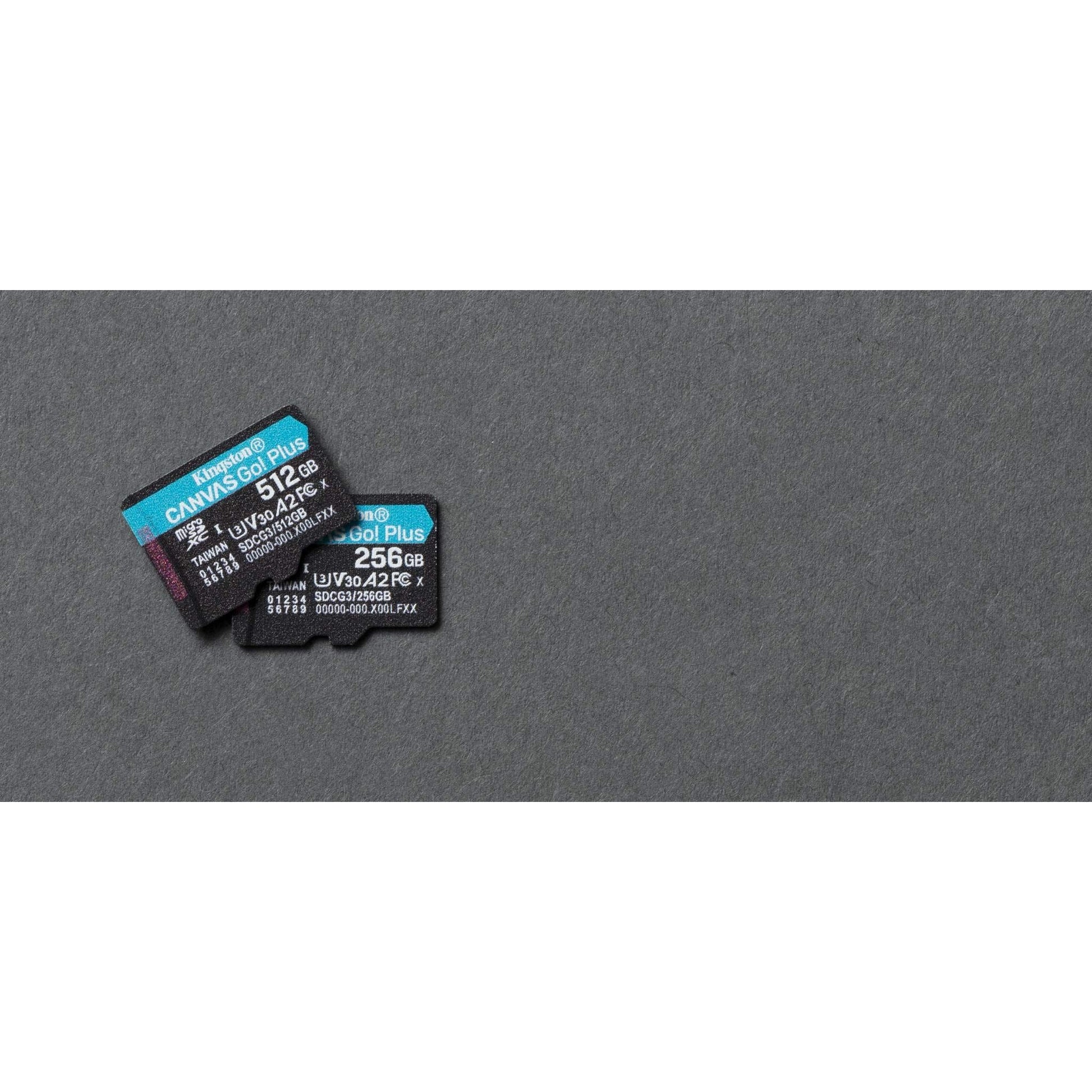 Kingston SDCG3/256GBSP micro SD-kaart (256 GB microSDXC Canvas Go Plus 170R A2 U3 V30 zonder SD-adapter) - NLMAX