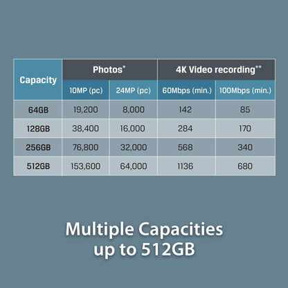 Kingston SDG3/256 GB SD-kaart (256 GB SDXC Canvas Go Plus 170R C10 UHS-I U3 V30) - NLMAX