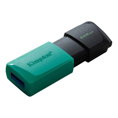 Kingston Technology DataTraveler Exodia M USB Stick 256GB - DTXM/256GB - NLMAX