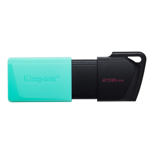 Kingston Technology DataTraveler Exodia M USB Stick 256GB - DTXM/256GB - NLMAX
