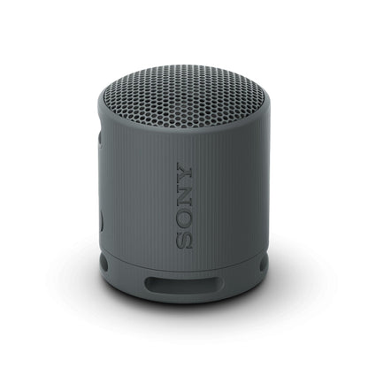 Sony SRS-XB100 Bluetooth-luidspreker, licht, compact, waterdicht en stofdicht IP67, tot 16 uur accu, aanpasbare band, zwart - NLMAX