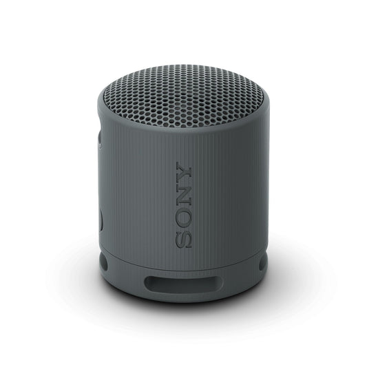 Sony SRS-XB100 Bluetooth-luidspreker, licht, compact, waterdicht en stofdicht IP67, tot 16 uur accu, aanpasbare band, zwart - NLMAX